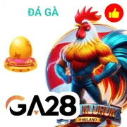 gk88 Game 08